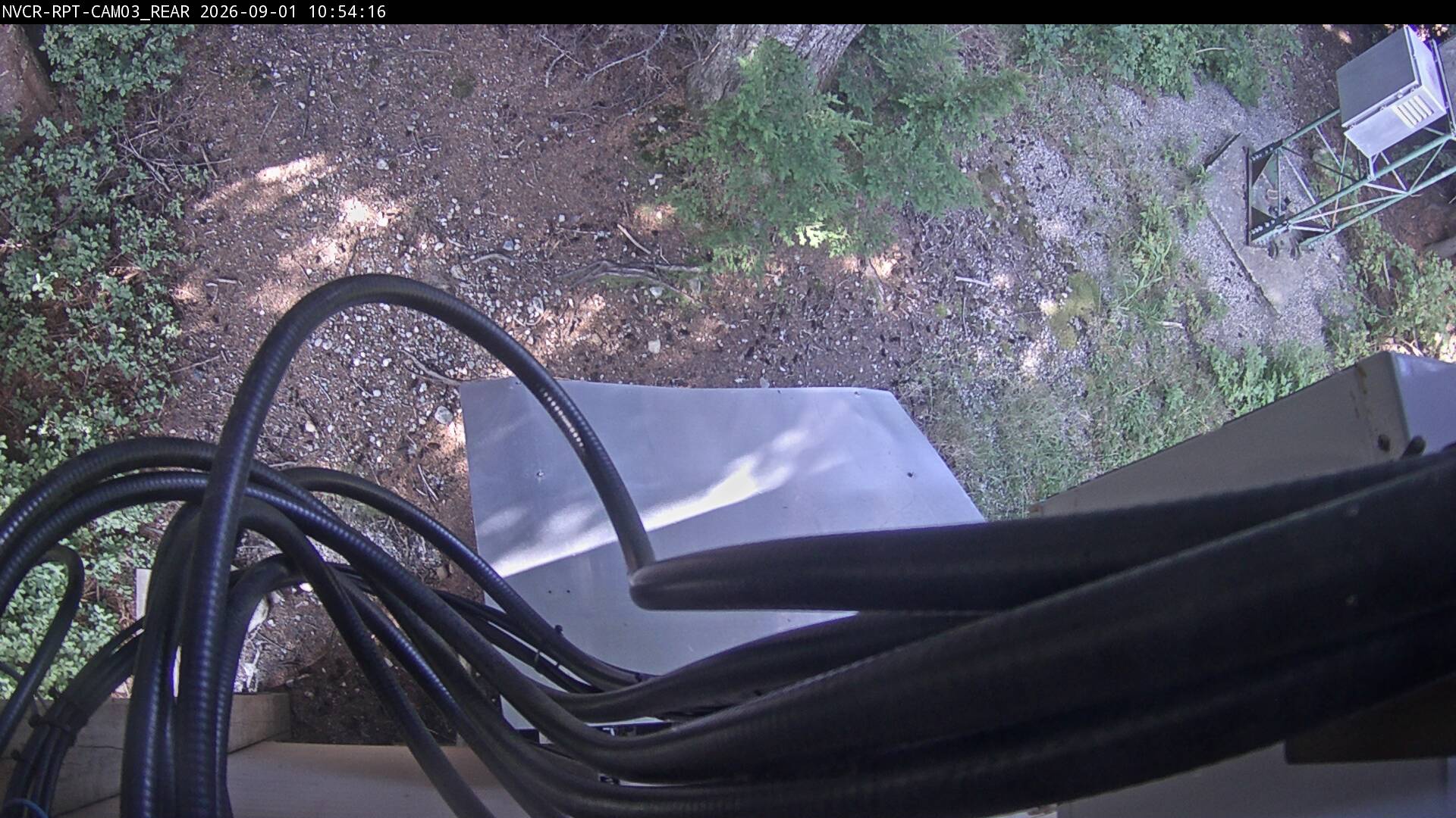 Web Cam History Image - 262