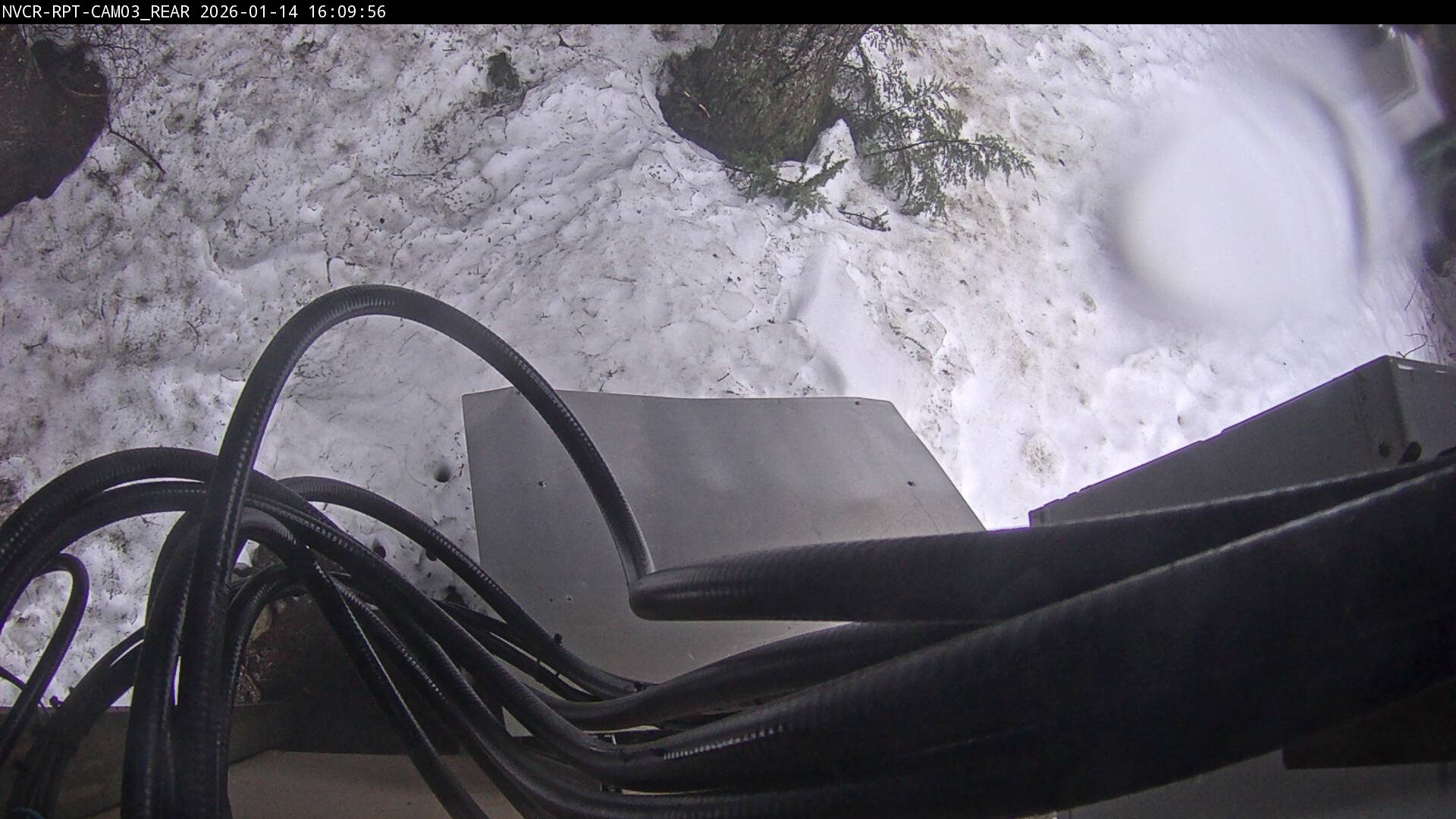 Web Cam History Image - 263