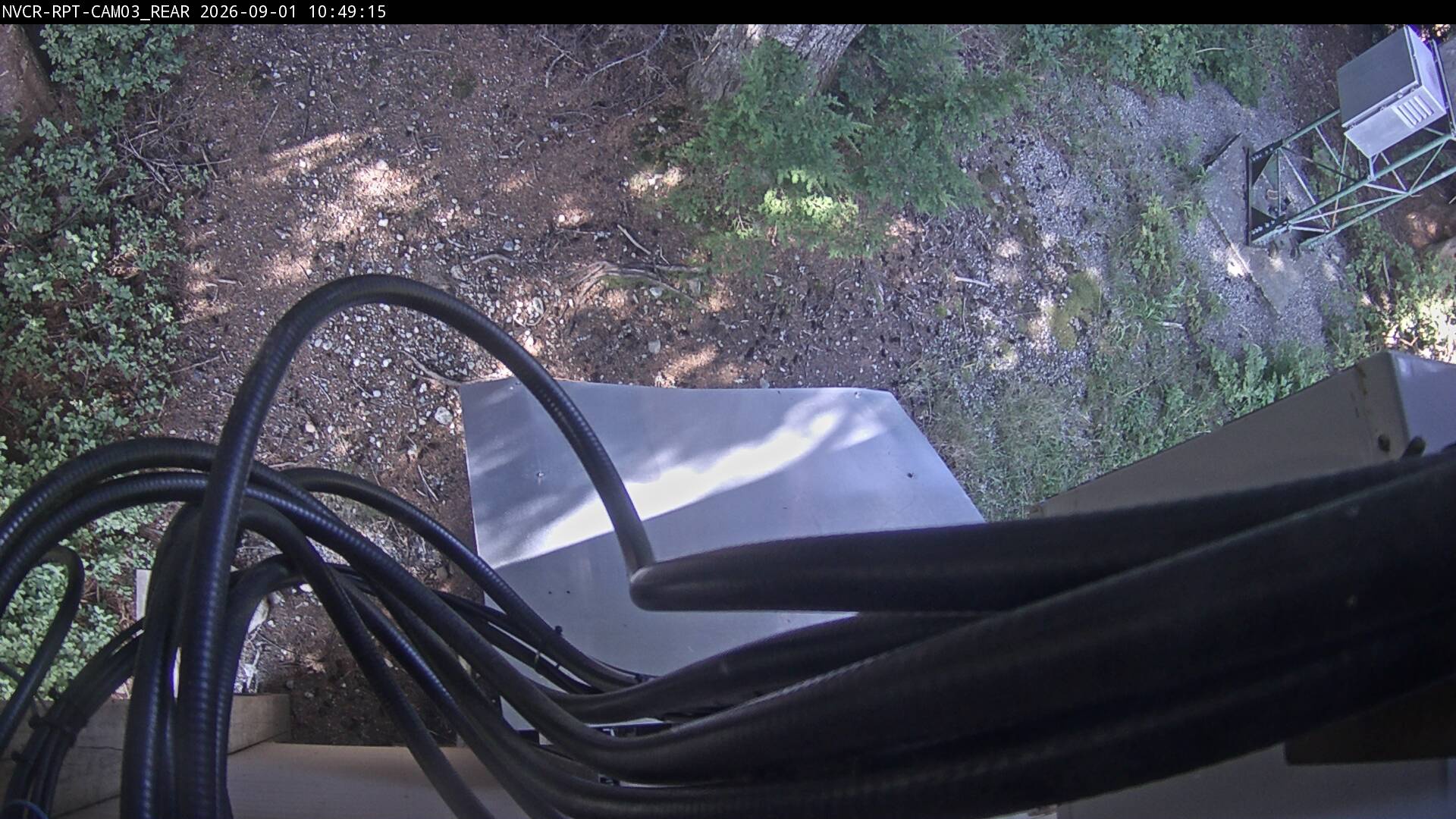 Web Cam History Image - 263