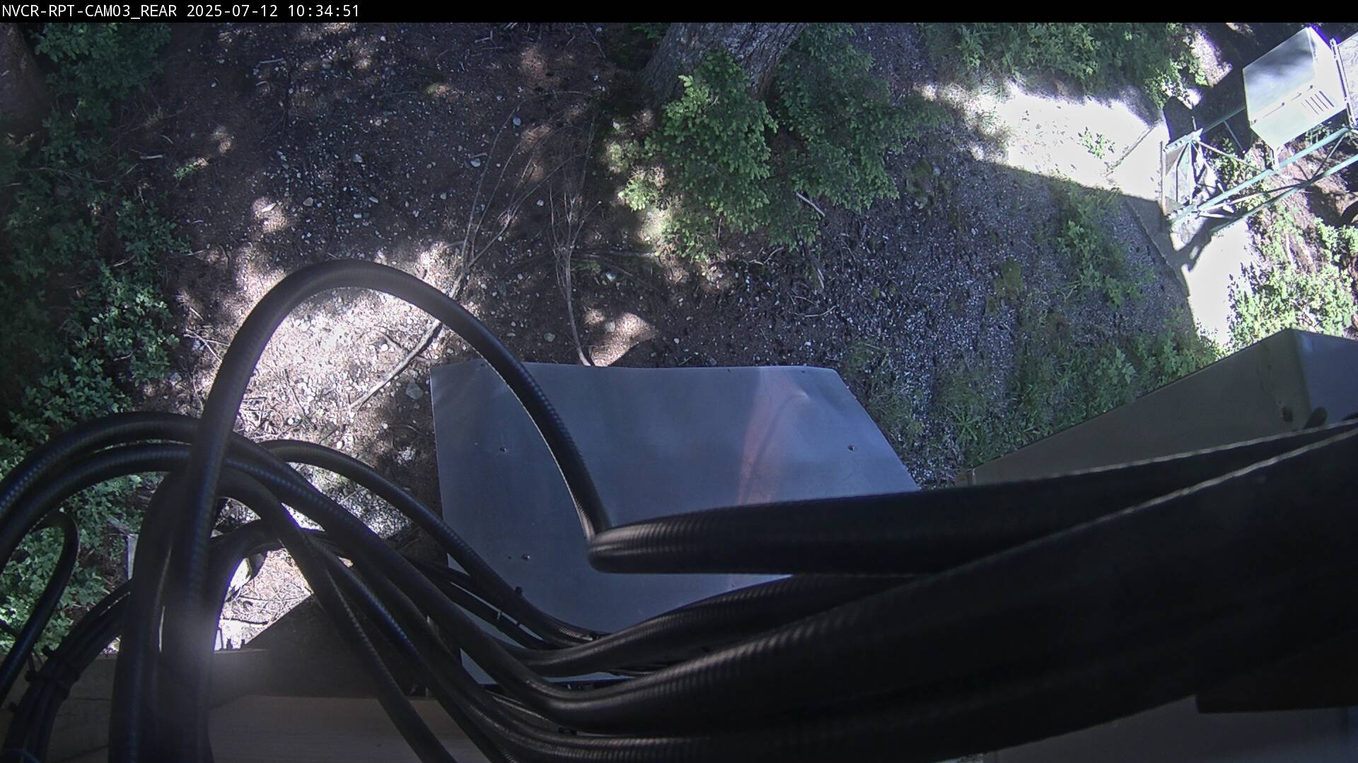 Web Cam History Image - 264
