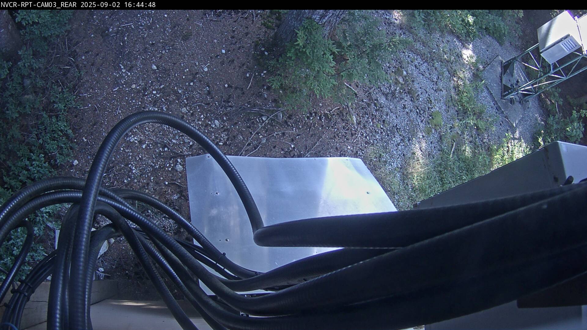 Web Cam History Image - 264
