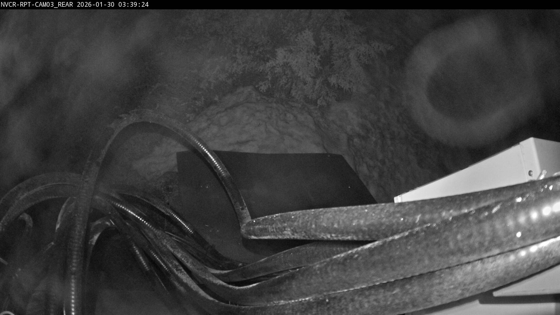 Web Cam History Image - 264