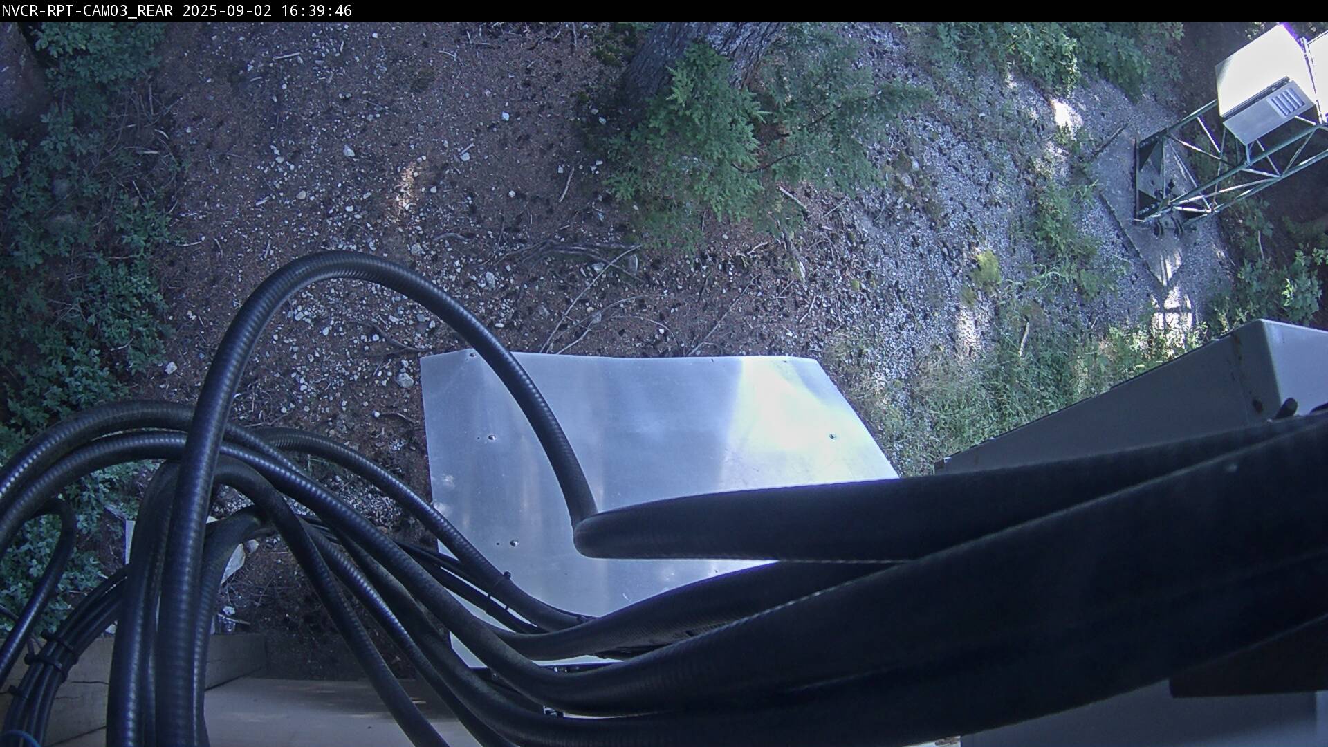Web Cam History Image - 265