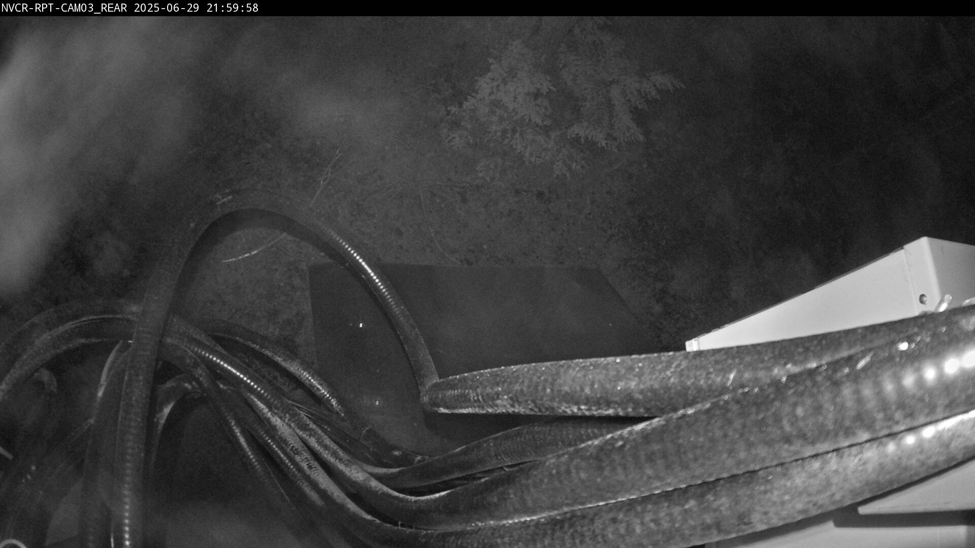Web Cam History Image - 266