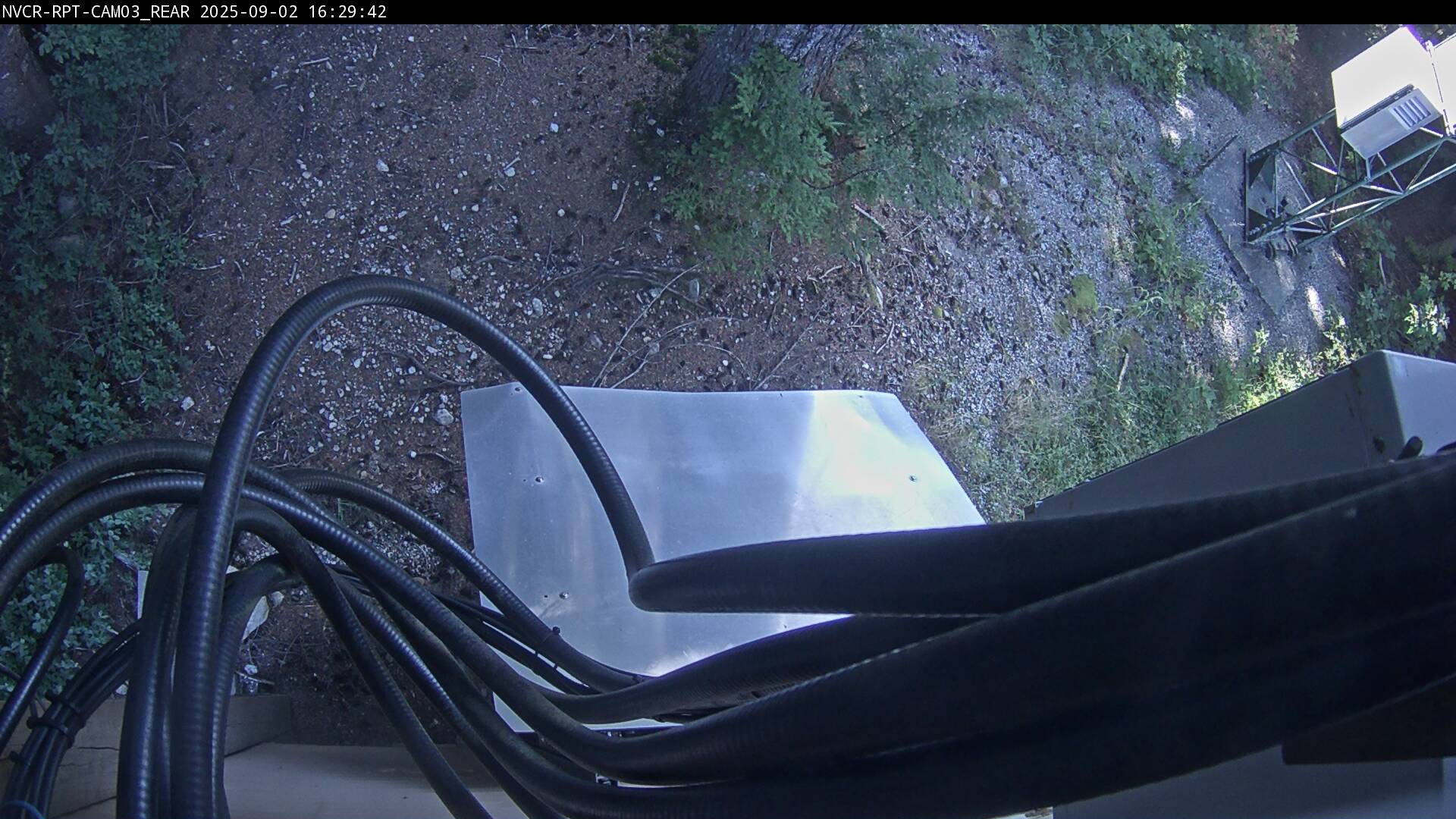 Web Cam History Image - 266