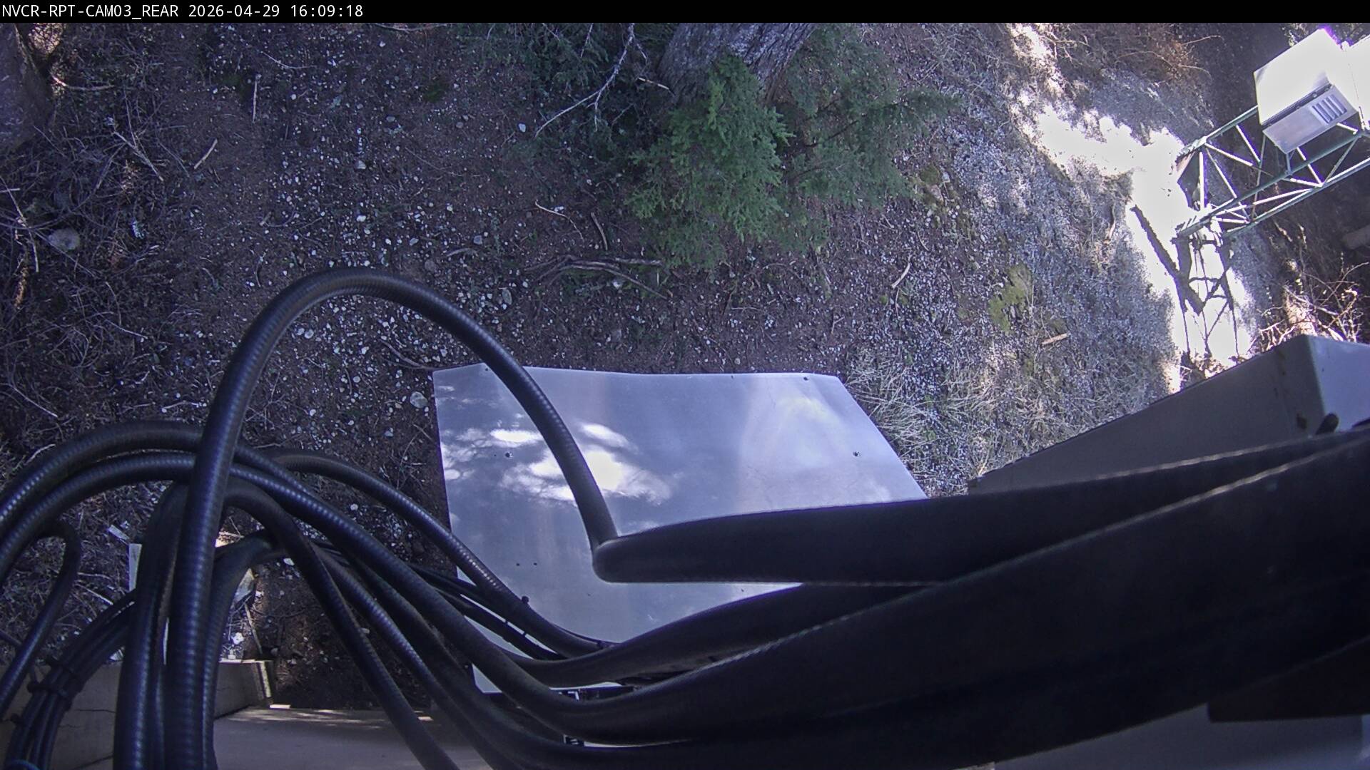 Web Cam History Image - 266