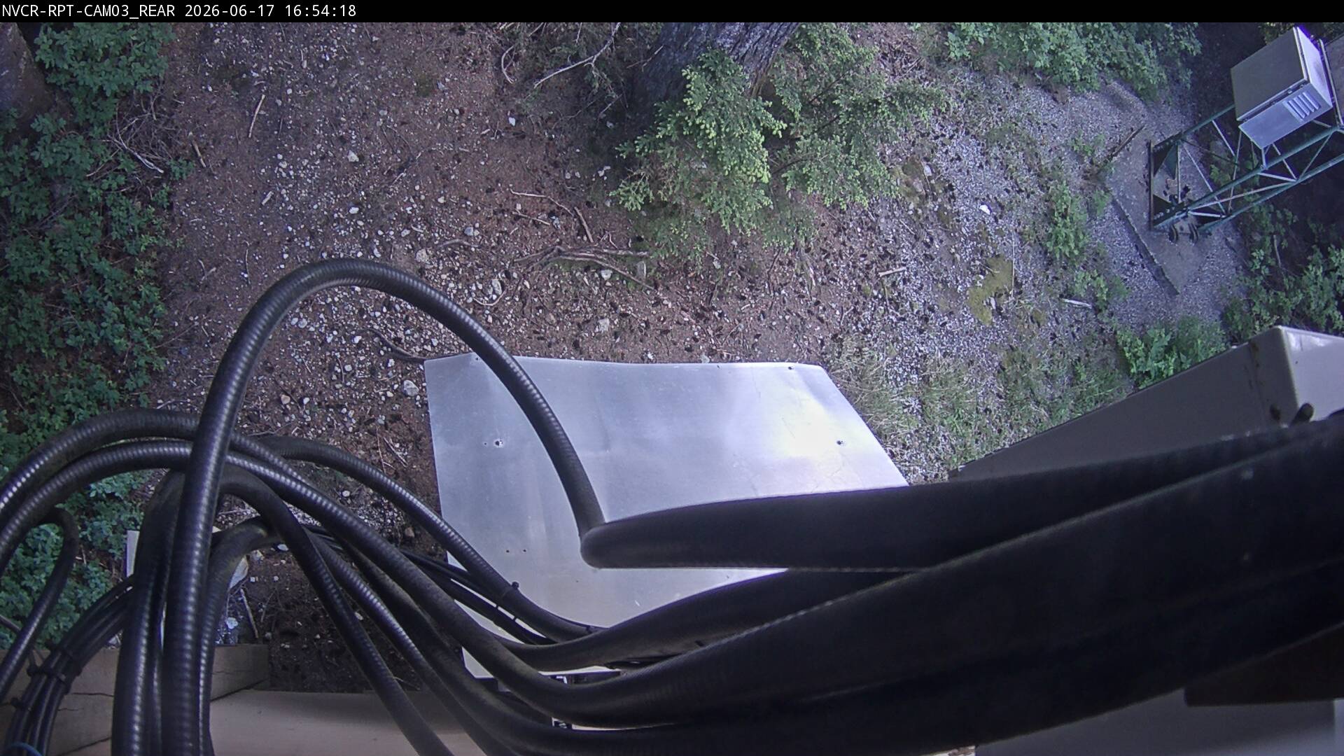 Web Cam History Image - 267