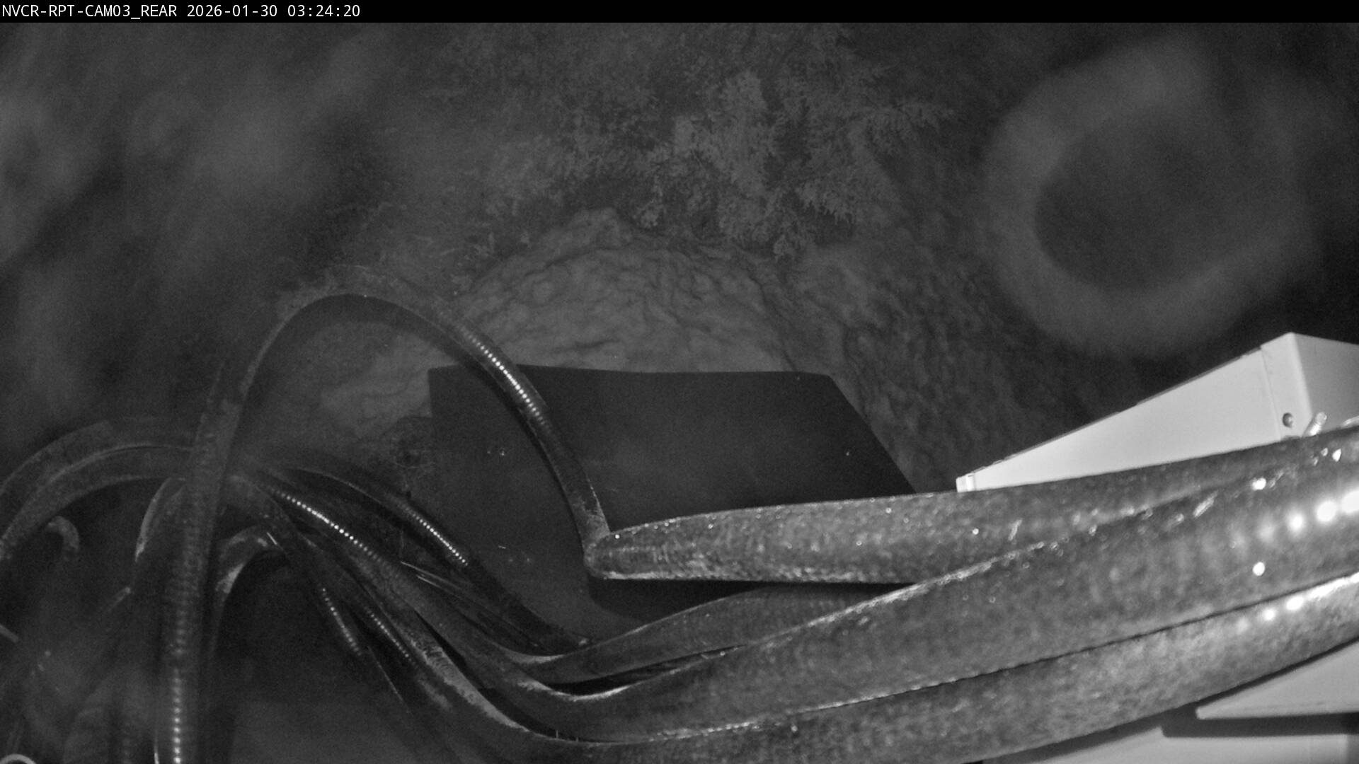 Web Cam History Image - 268