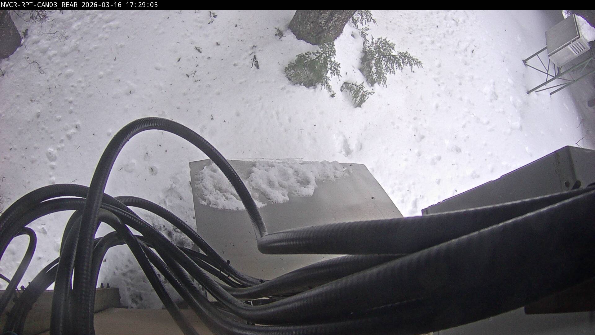 Web Cam History Image - 268