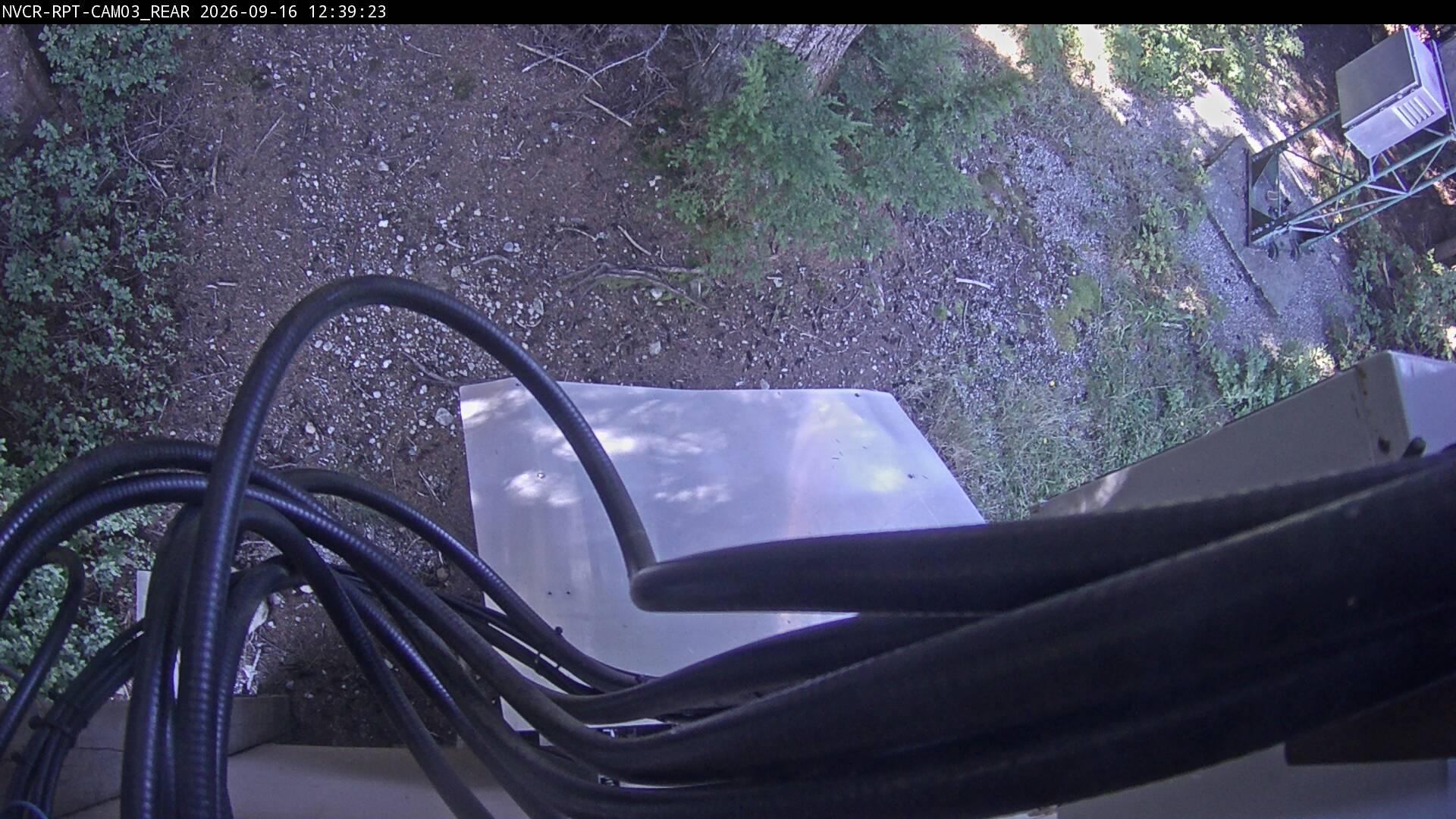 Web Cam History Image - 268