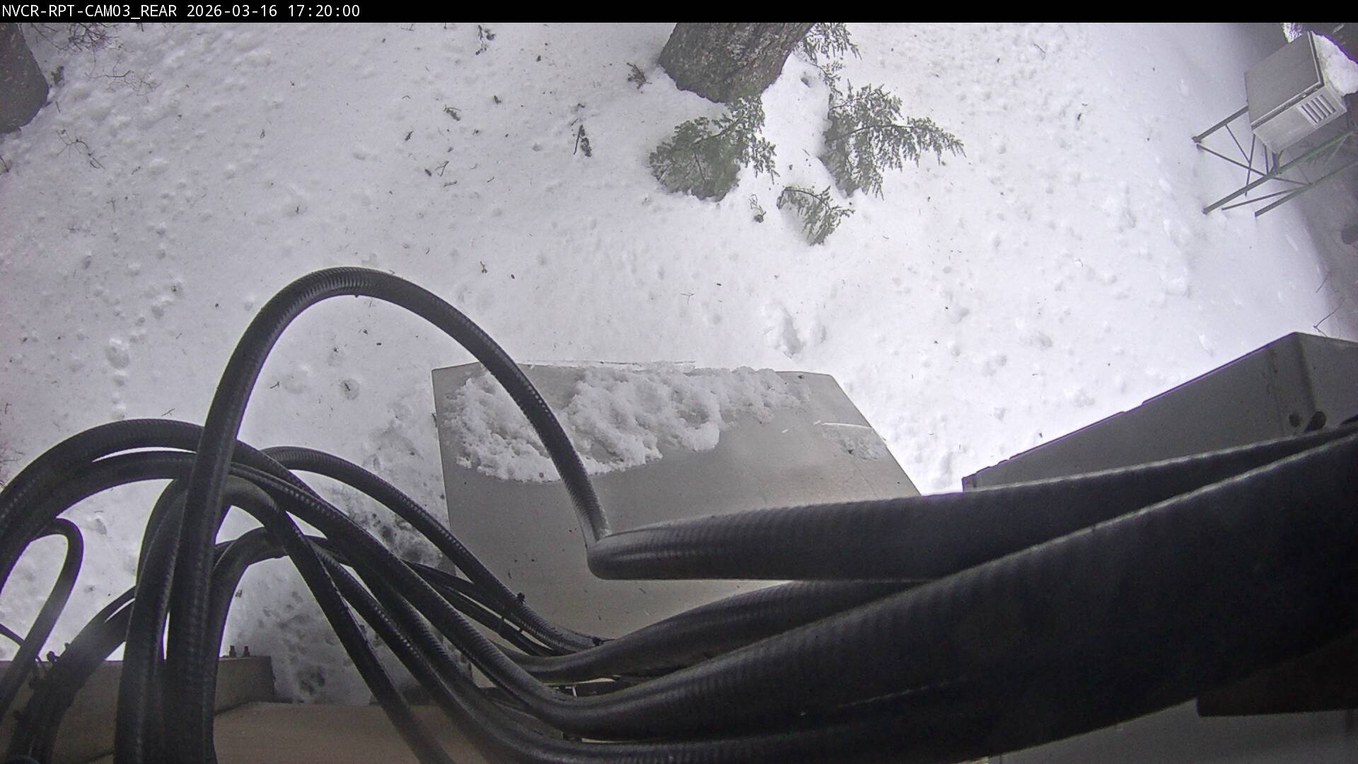 Web Cam History Image - 269