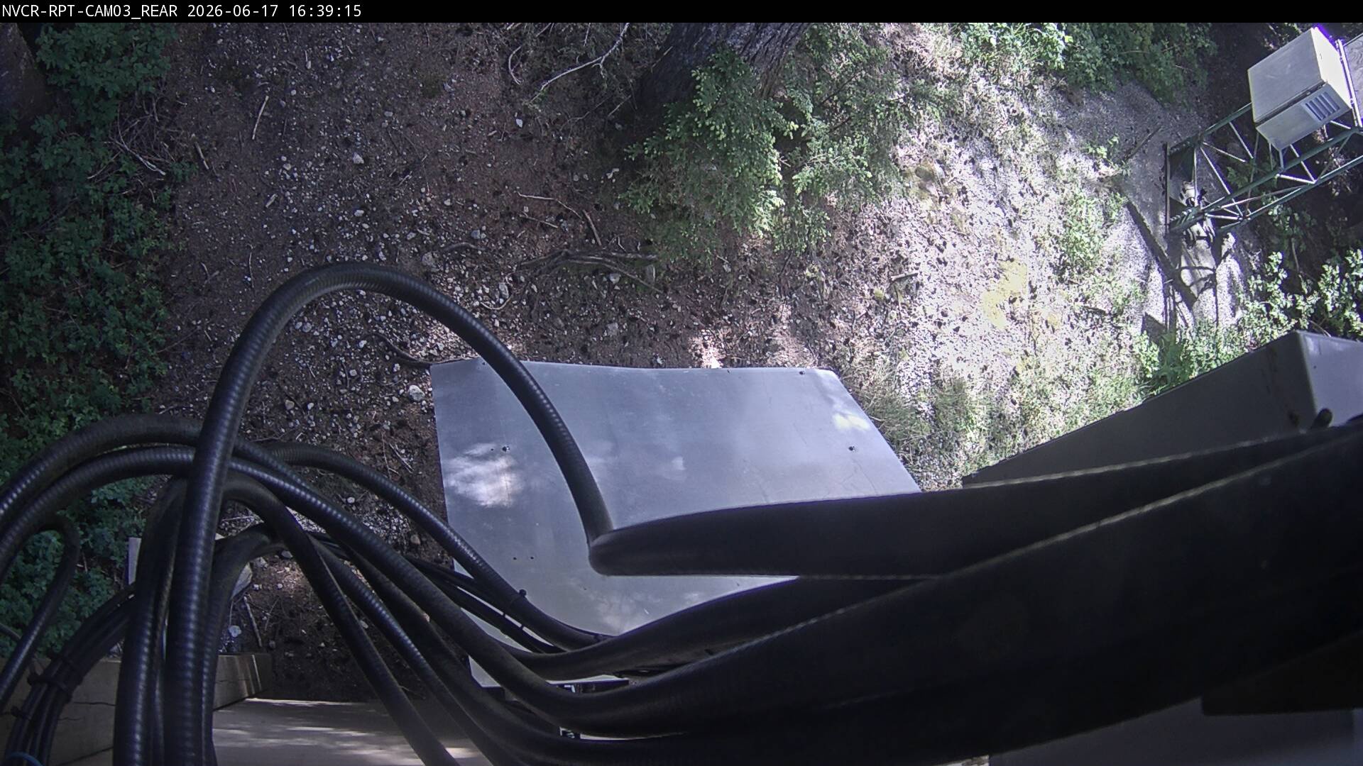 Web Cam History Image - 269