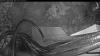 Web Cam Image - Fri, 05/15/2026 4:39am PDT