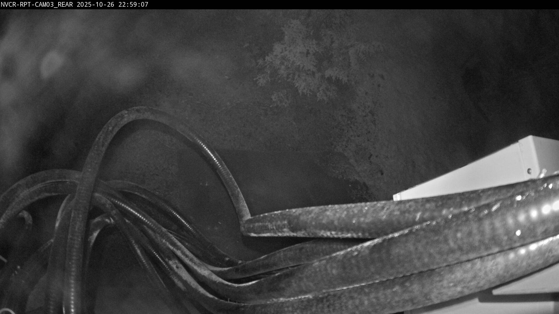 Web Cam History Image - 270