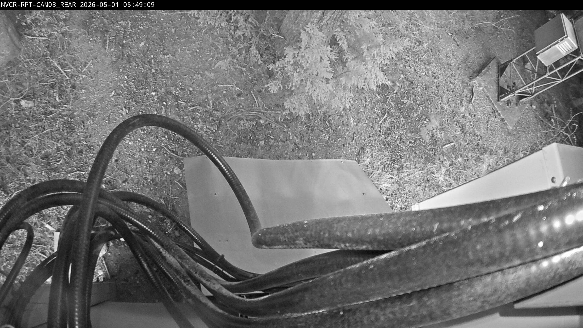 Web Cam History Image - 270
