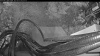 Web Cam Image - Thu, 09/18/2025 5:19am PDT