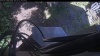 Web Cam Image - Sun, 05/31/2026 9:39am PDT