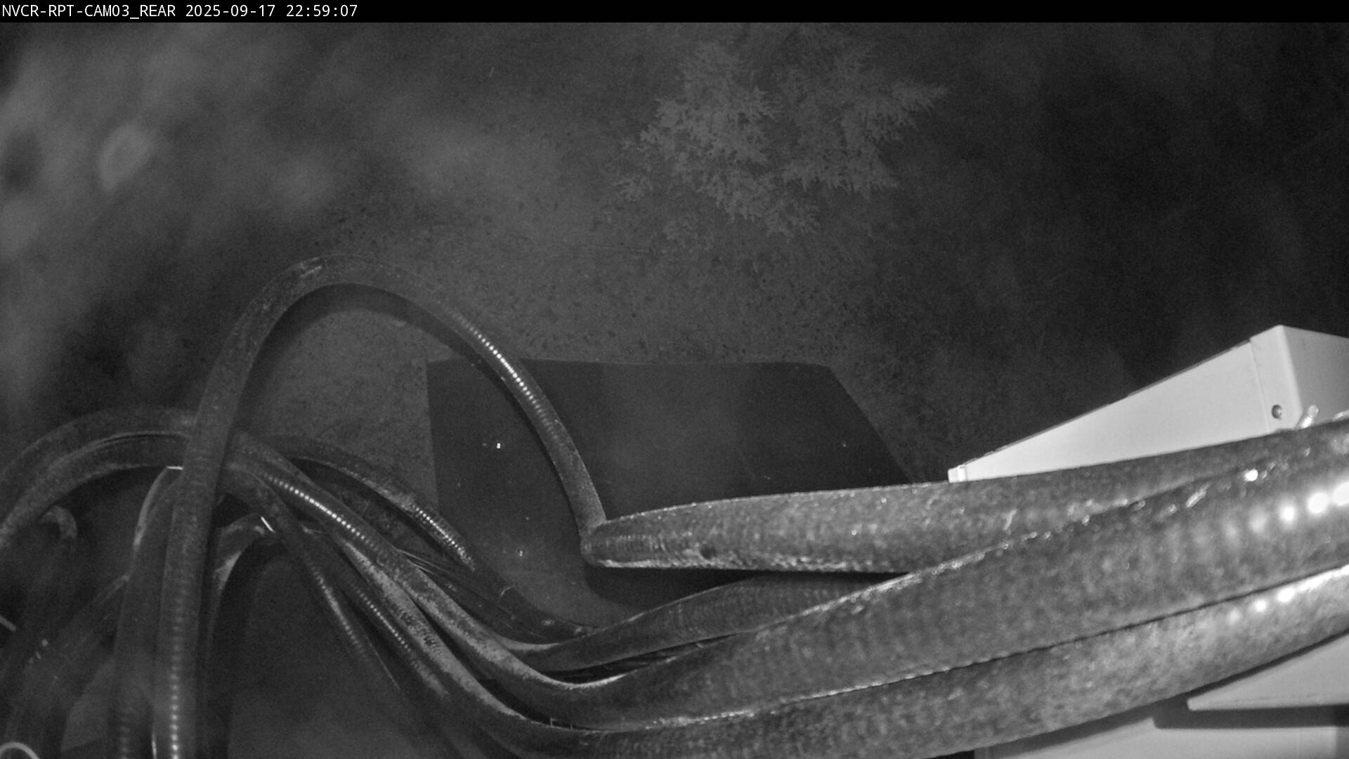 Web Cam History Image - 28