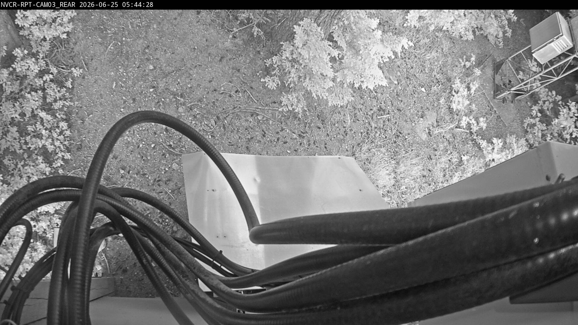 Web Cam History Image - 28