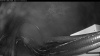 Web Cam Image - Thu, 11/13/2025 2:59am PST