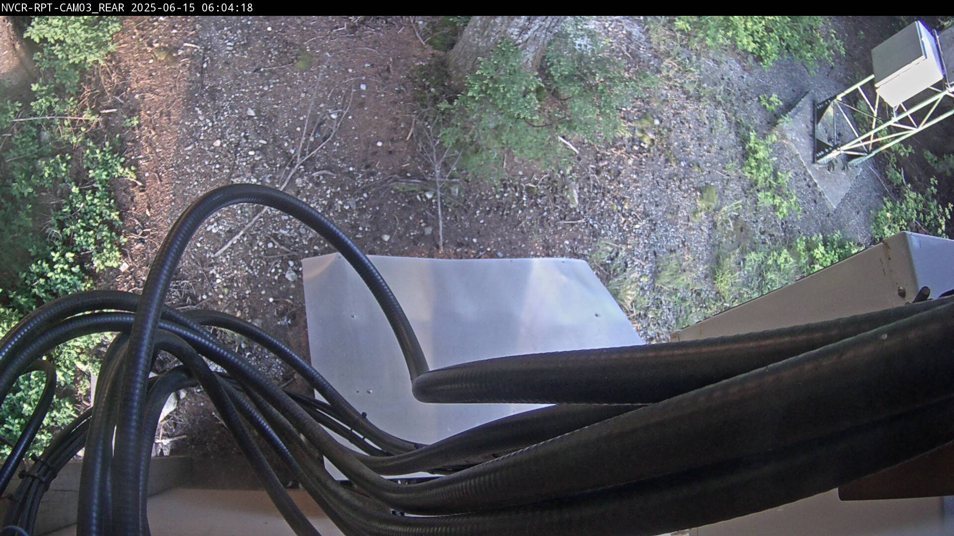 Web Cam History Image - 271