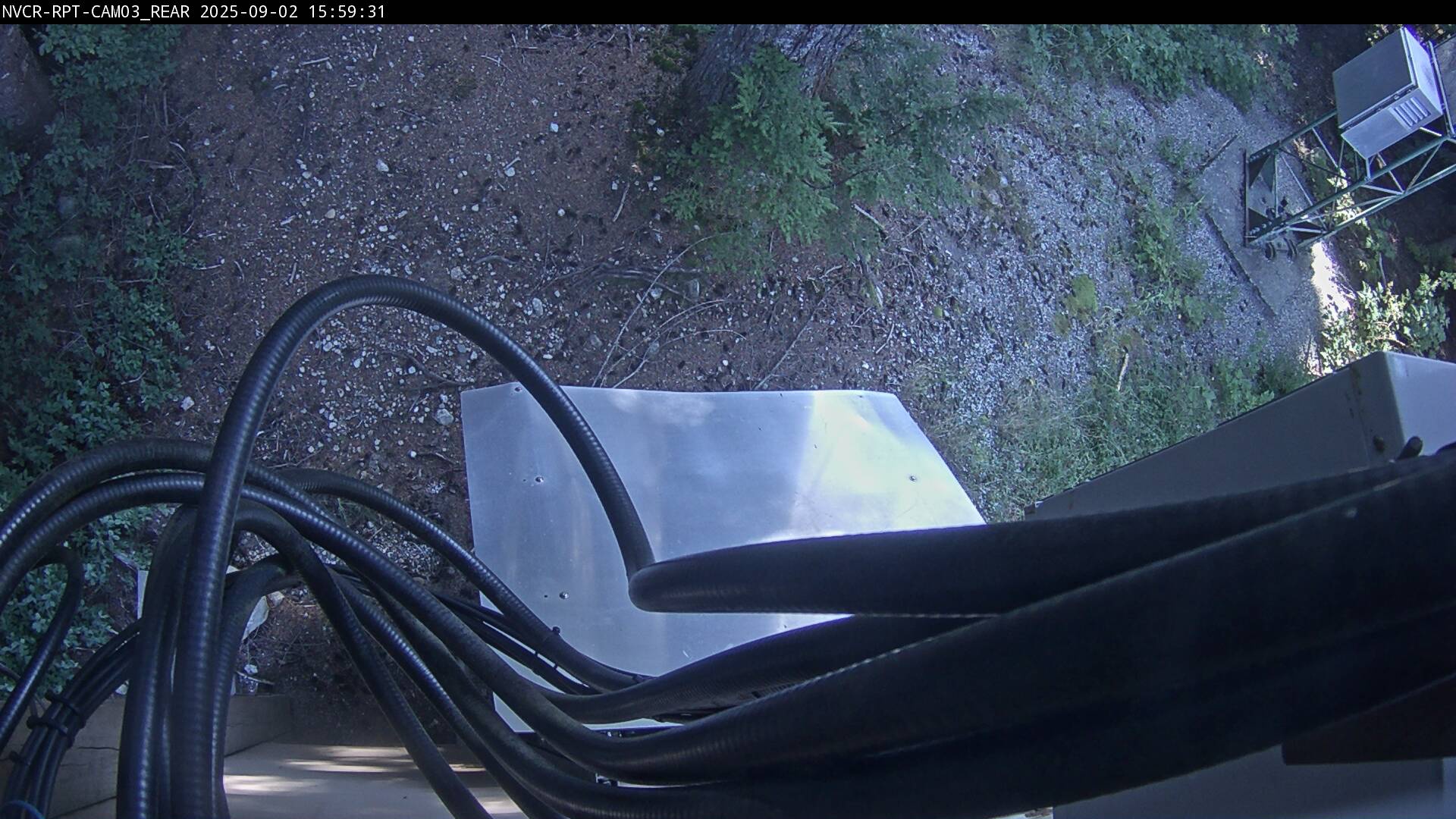 Web Cam History Image - 271