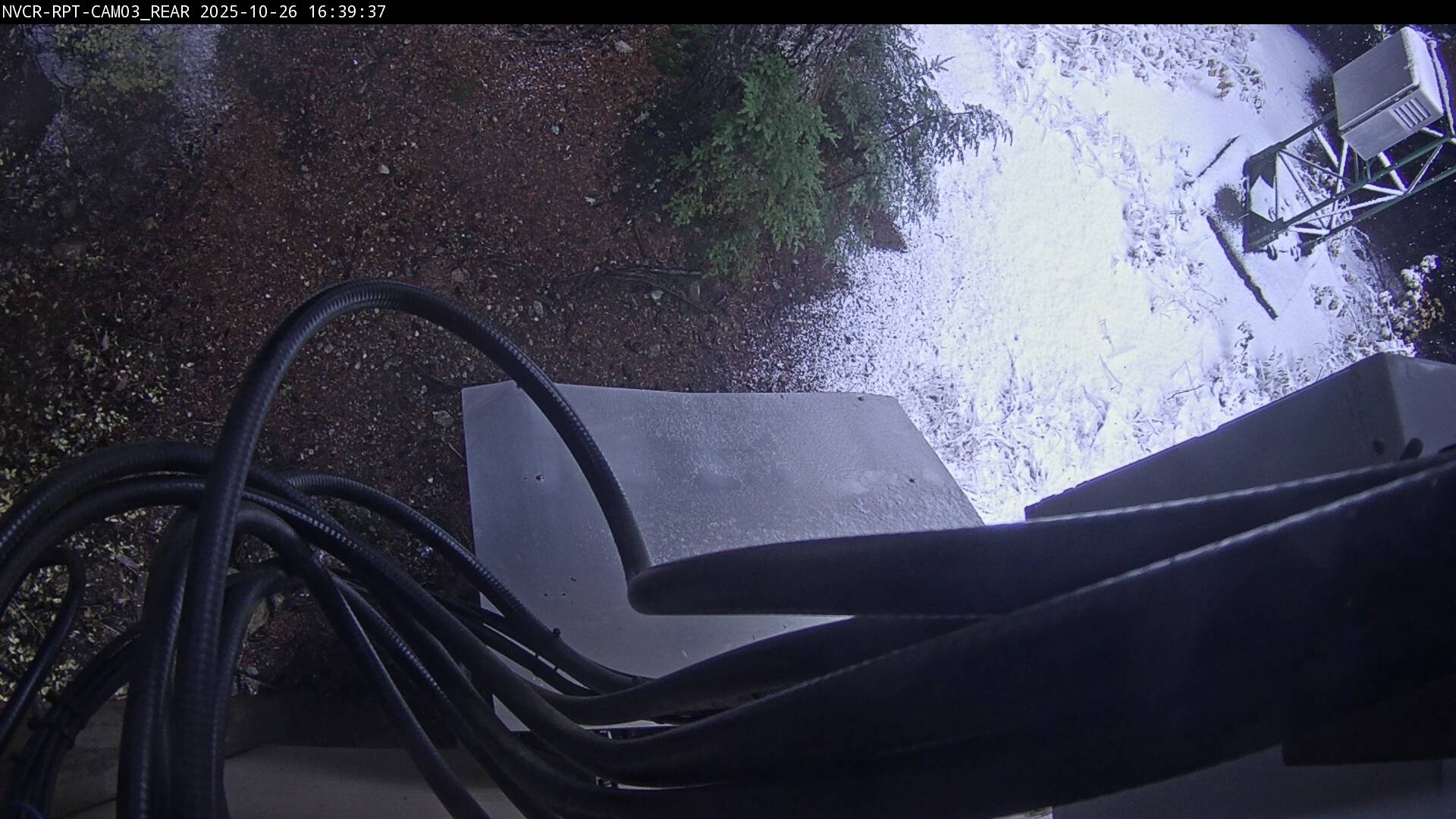 Web Cam History Image - 271