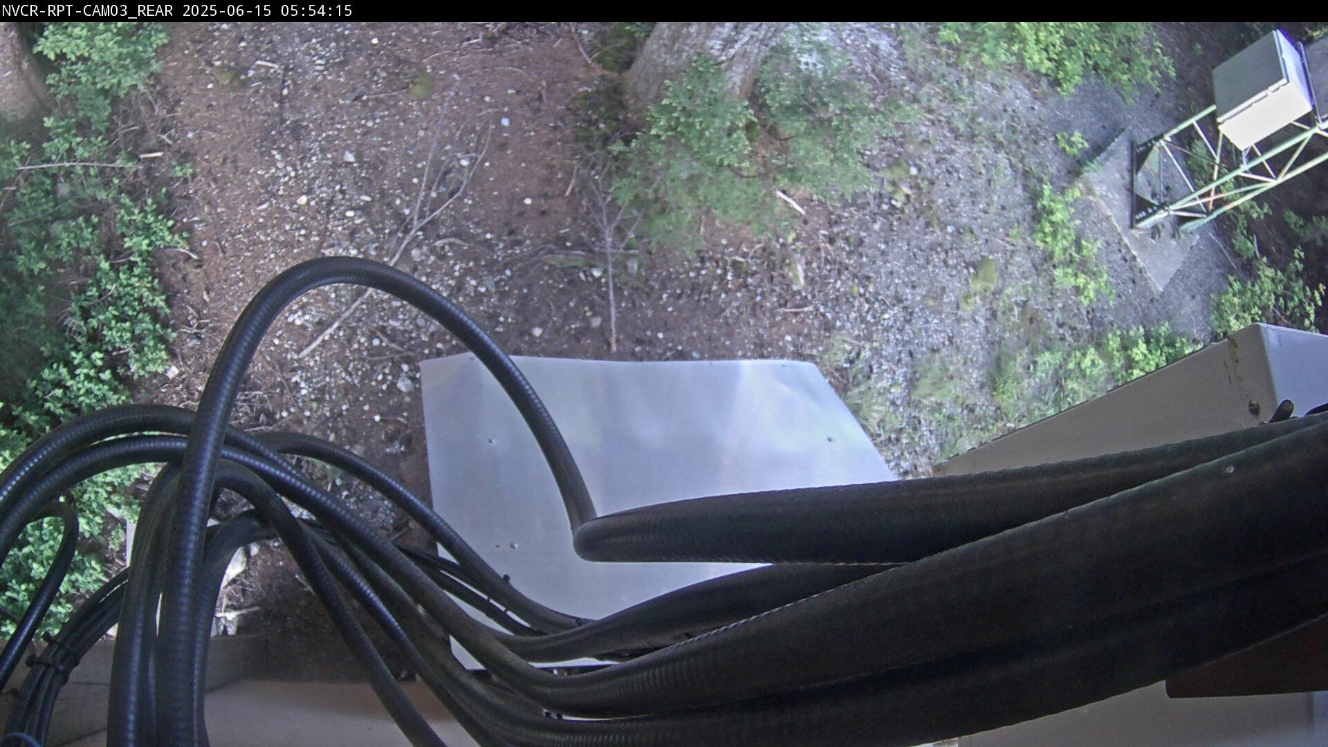 Web Cam History Image - 272