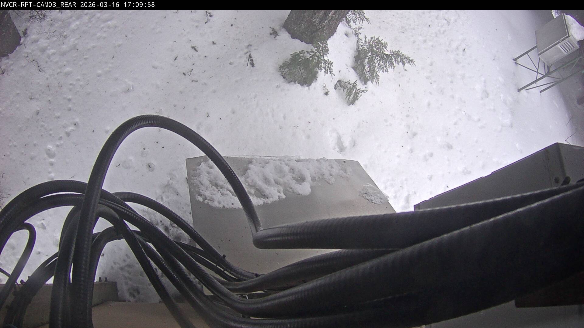 Web Cam History Image - 272