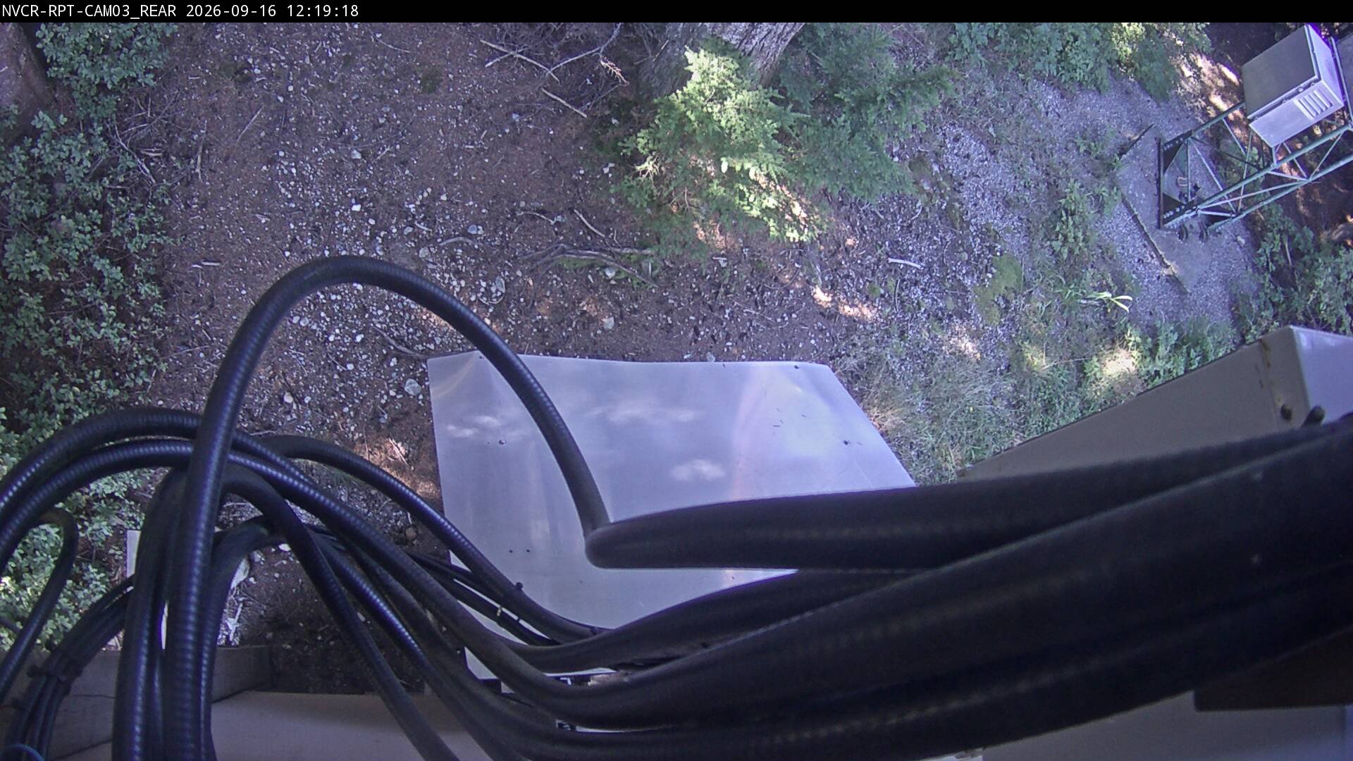 Web Cam History Image - 272