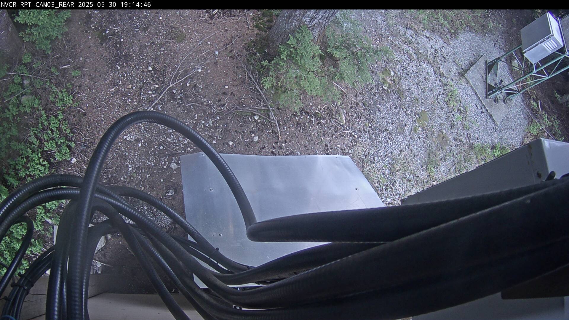 Web Cam History Image - 273