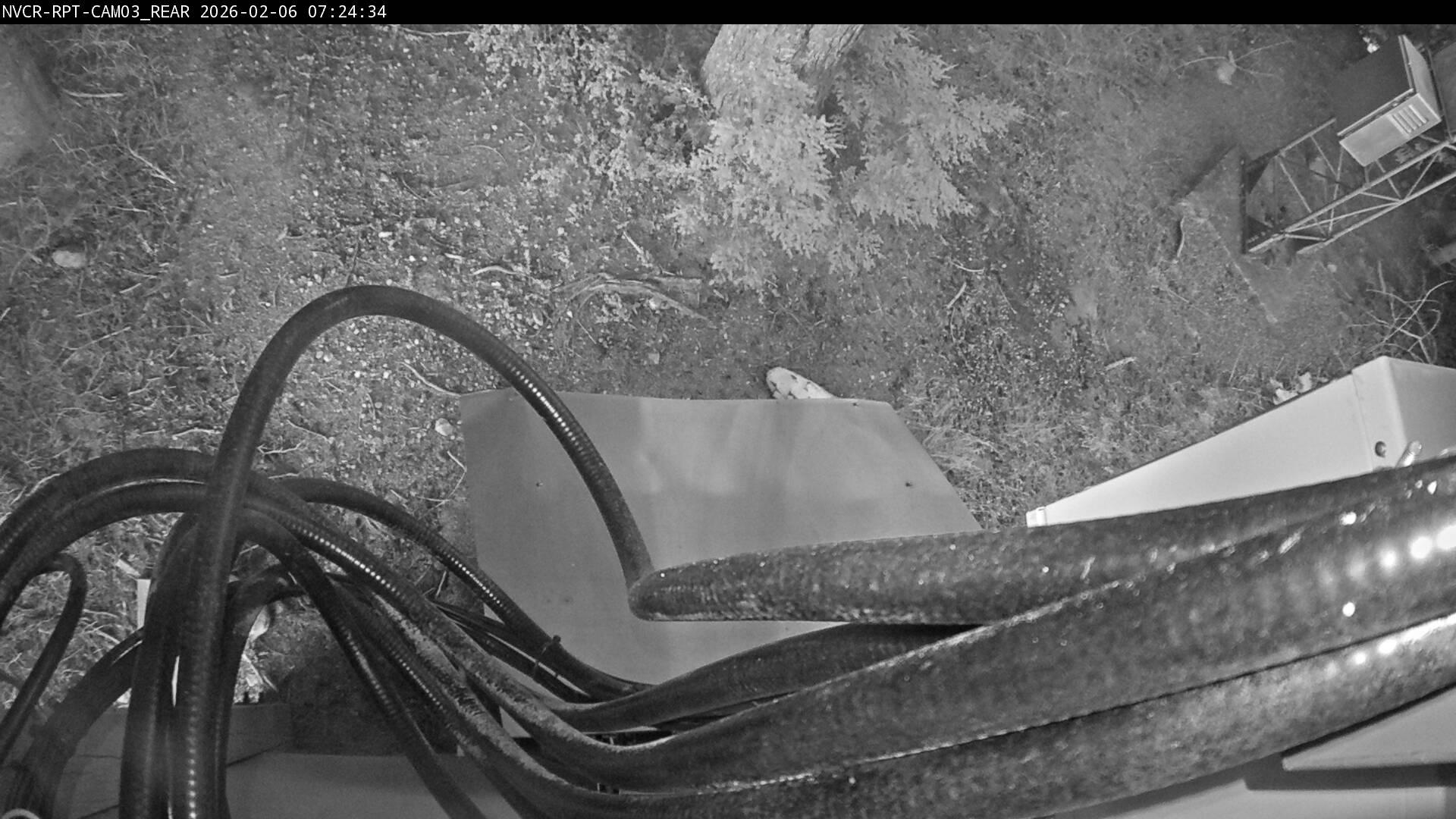 Web Cam History Image - 273