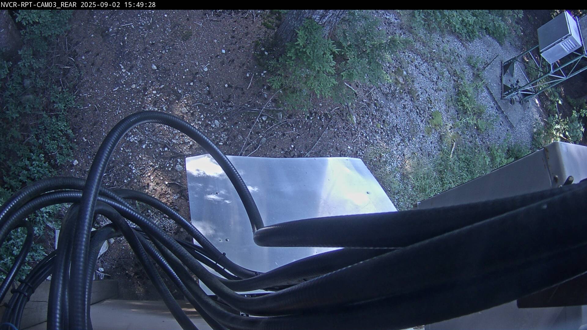 Web Cam History Image - 274