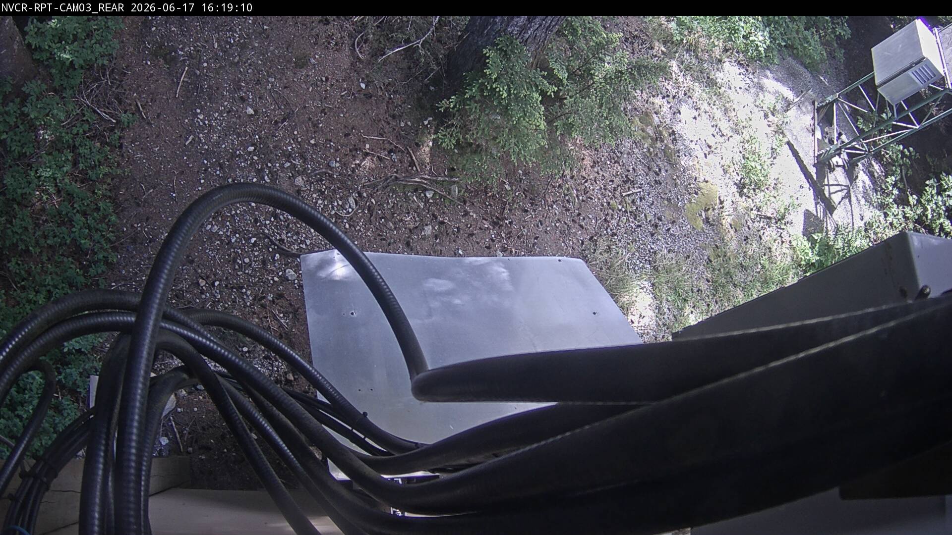 Web Cam History Image - 274