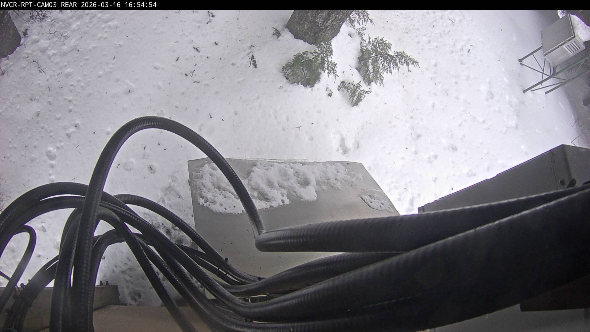 Web Cam History Image - 275