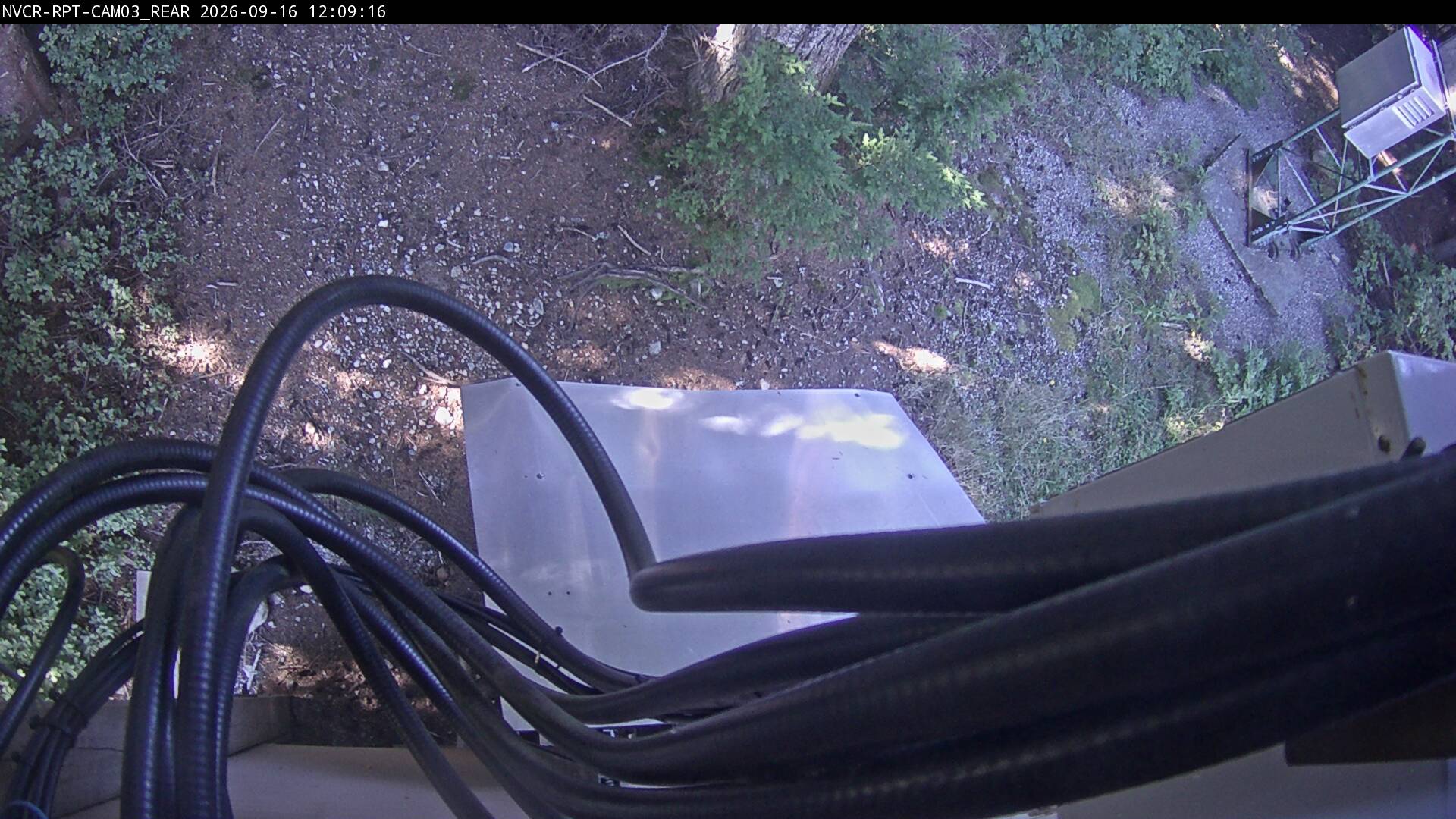 Web Cam History Image - 275