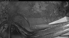 Web Cam Image - Mon, 06/08/2026 3:24am PDT