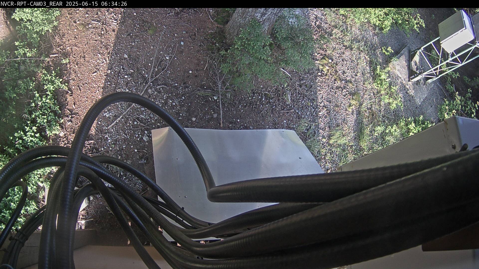 Web Cam History Image - 276