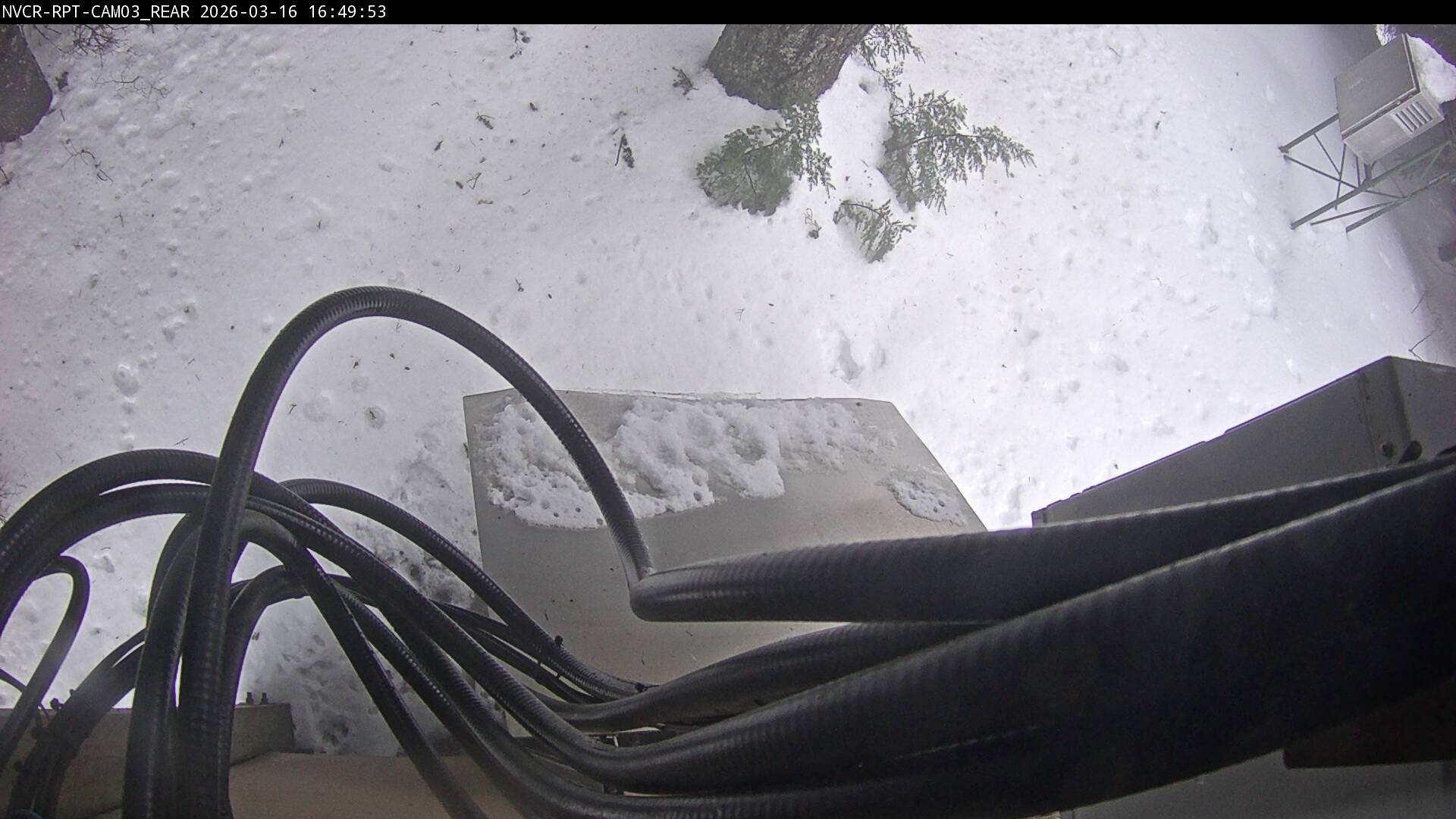 Web Cam History Image - 276