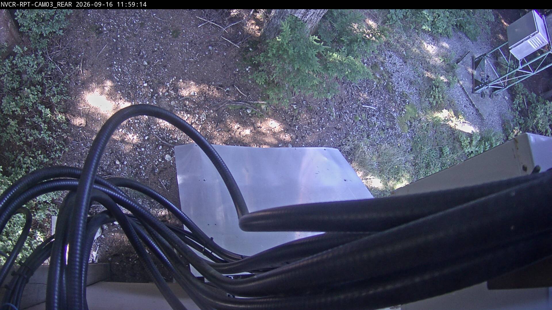 Web Cam History Image - 276