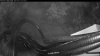 Web Cam Image - Fri, 09/25/2026 6:39pm PDT