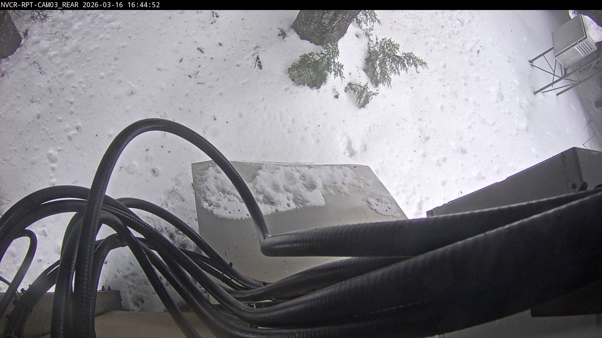 Web Cam History Image - 277