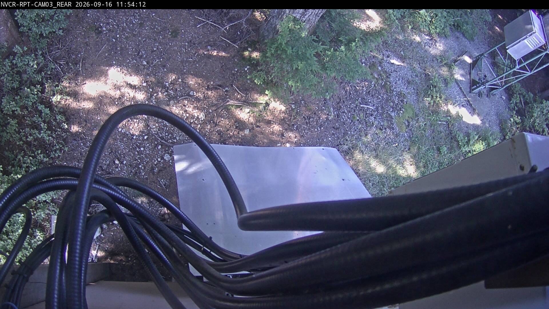 Web Cam History Image - 277
