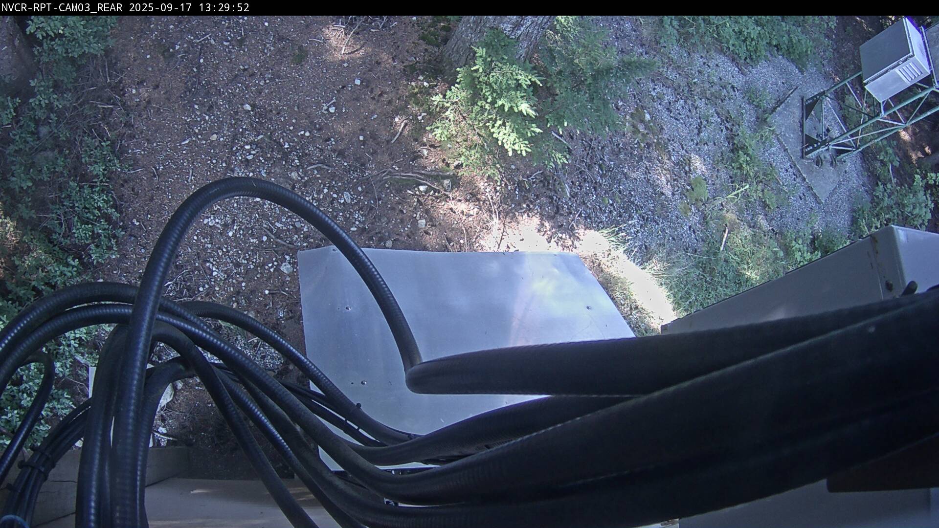 Web Cam History Image - 278