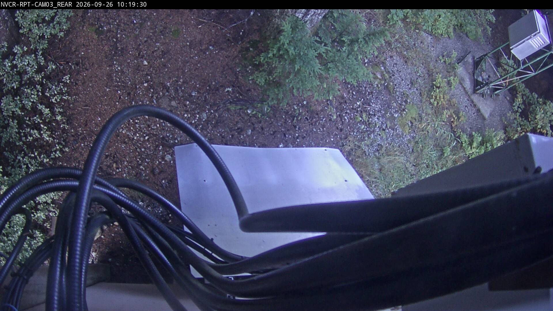 Web Cam History Image - 278
