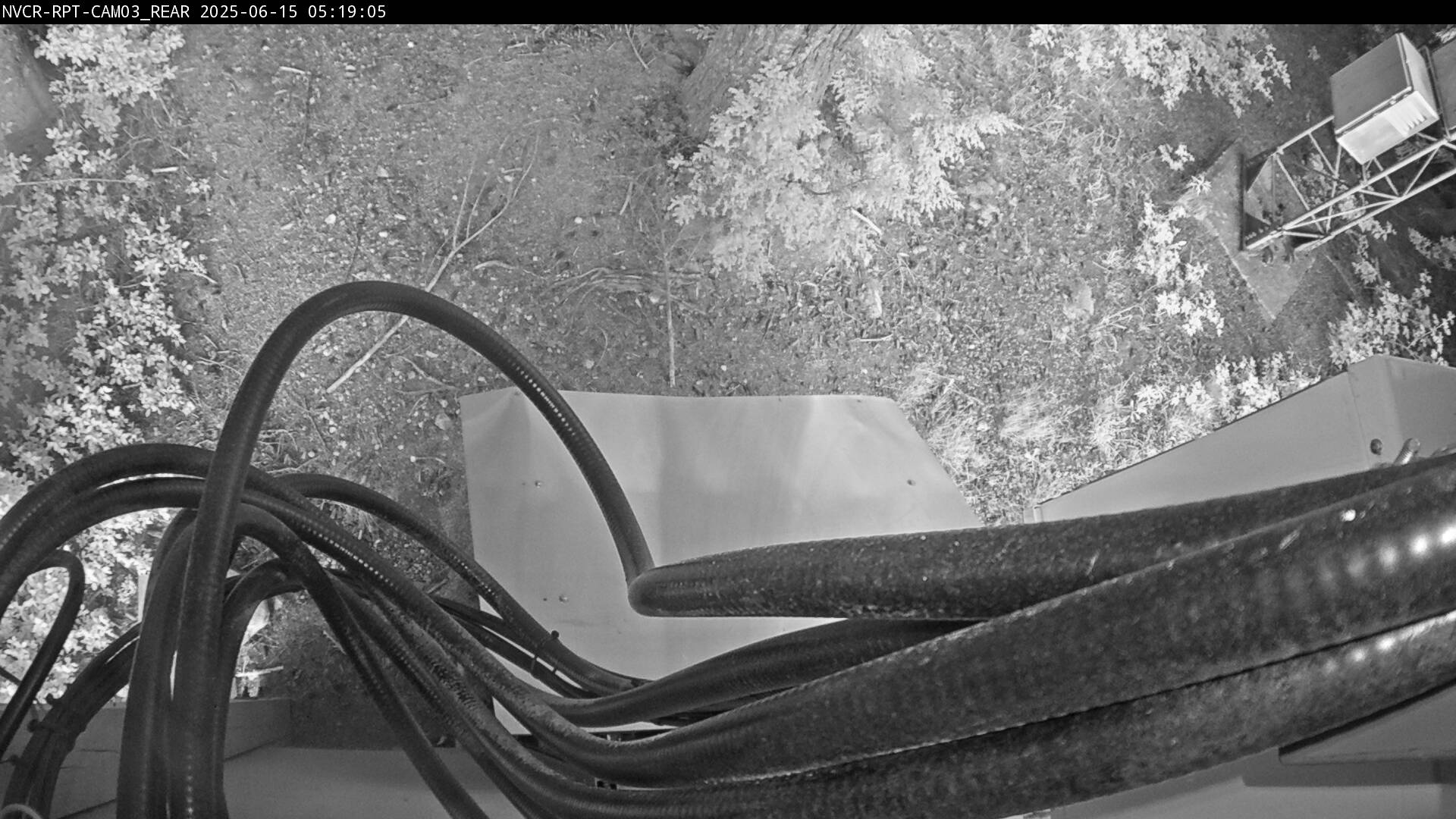 Web Cam History Image - 279