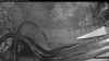 Web Cam Image - Tue, 08/04/2026 4:39am PDT