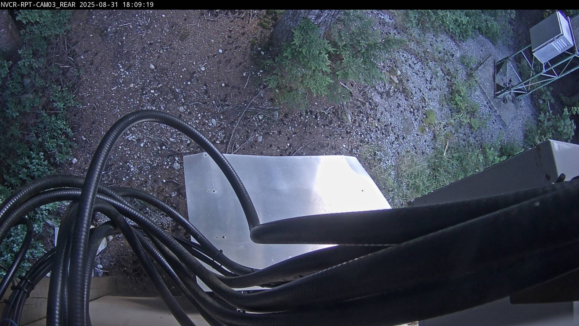 Web Cam History Image - 29