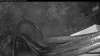 Web Cam Image - Sun, 05/03/2026 4:14am PDT