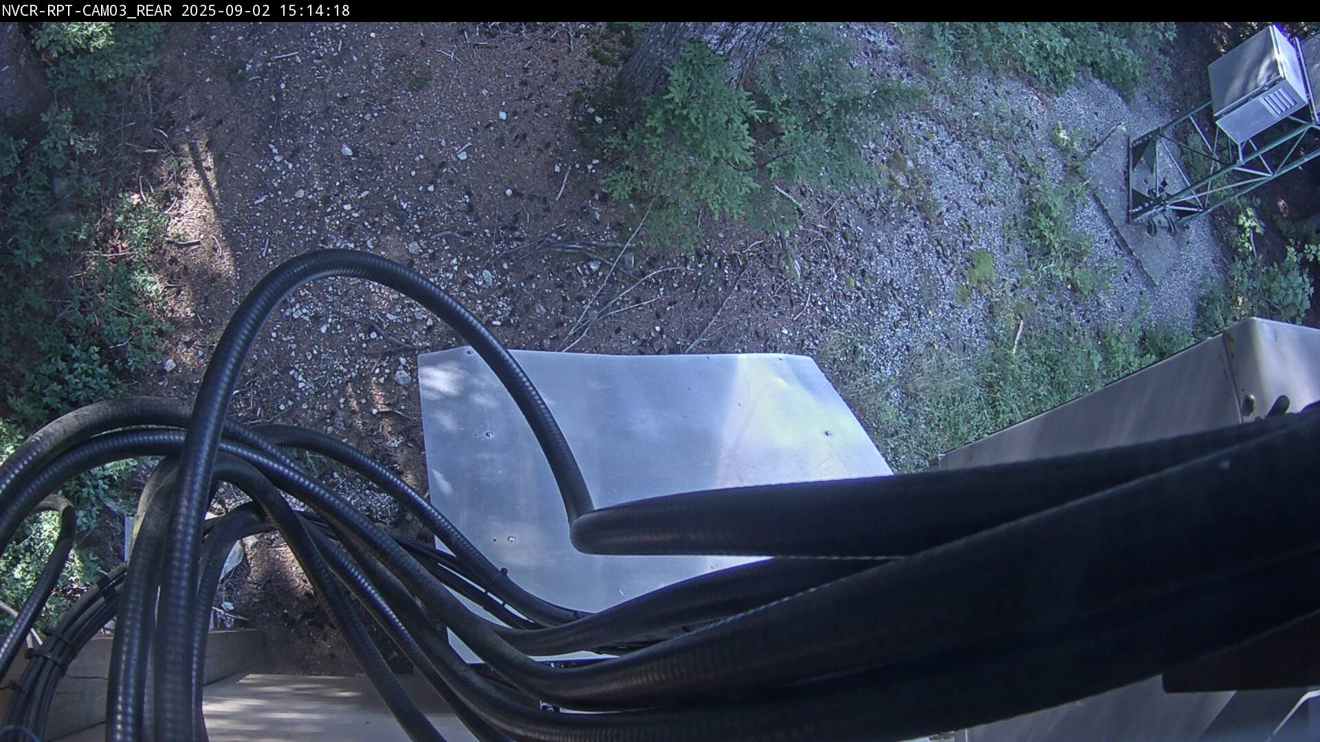 Web Cam History Image - 281
